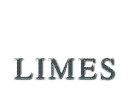 Limes Watch Brands