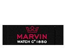 Martin Braun