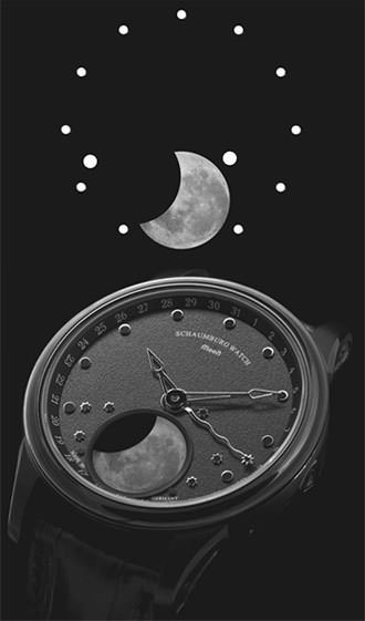 Schaumburg's Astronomical Moon Complication