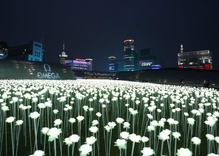 More than 21,000 white flowers were illuminated for the Omega Butterfly event in Seoul