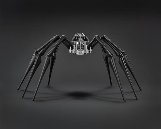 Arachnophobia! Telling the time on eight legs 