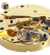 The Daniels Anniversary Watch
