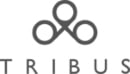 Tribus