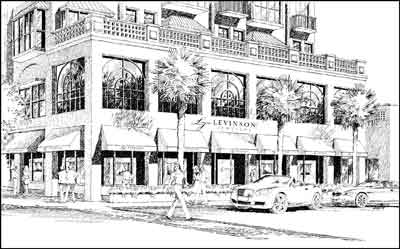 Levinsonstore