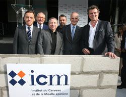 ICM
