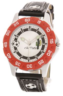 cactus2