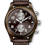 IWC Pilot's Watch Chronograph Edition “The Last Flight” (Ref. IW388005) (Front)