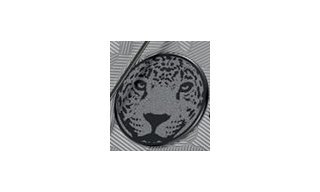  JeanRichard presents two wild limited editions for Mexico