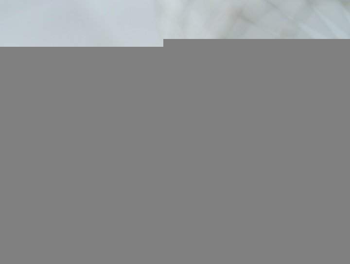 Bausele Elemental: Swiss precision, Australian spirit