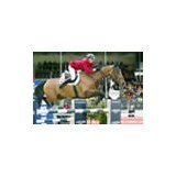 Christina Liebherr and Beat M&#x00E4;ndli win the Longines Press Award for Elegance in Lucerne
