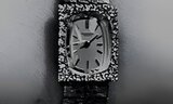 INTERNATIONAL WATCH CO.