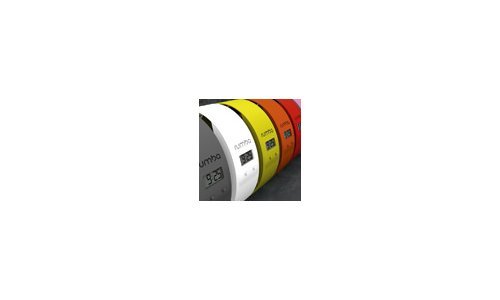 Over the rainbow with fashion watches