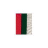GUCCIO by Gucci