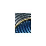 PERSPECTIVES D'ART “FISH” by Vacheron Constantin
