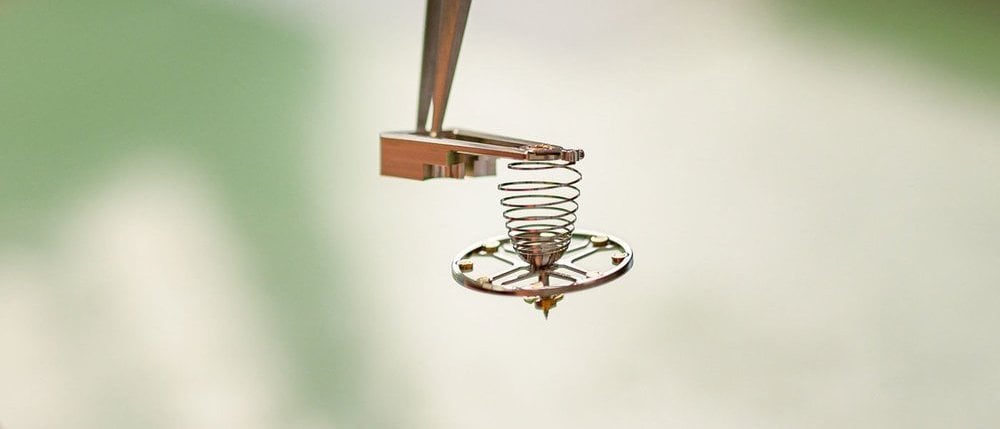 Lederer, a passion for escapements