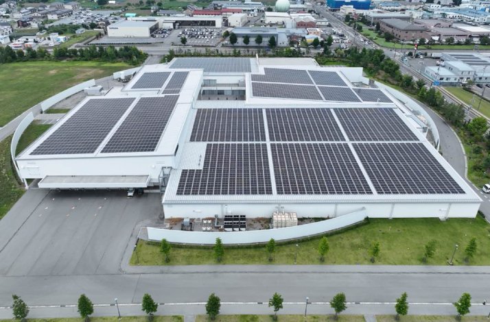 Miyota, the indispensable engine of accessible watchmaking