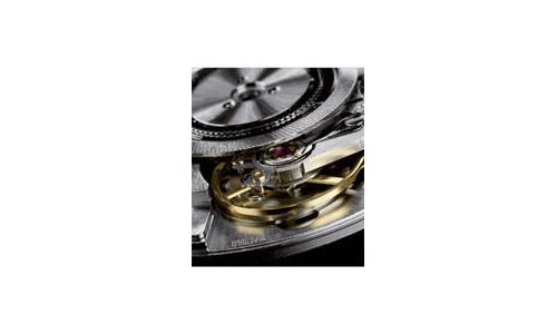 Automatic watches