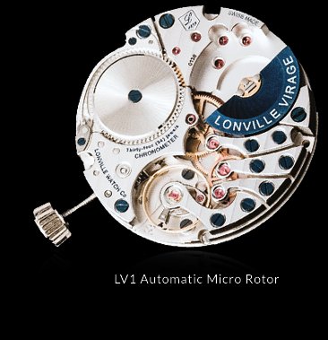 LV1 with micro-rotor