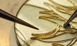 MANUFACTURE - MÉTIERS D'ART: Has the Industry GONE TOO FAR?