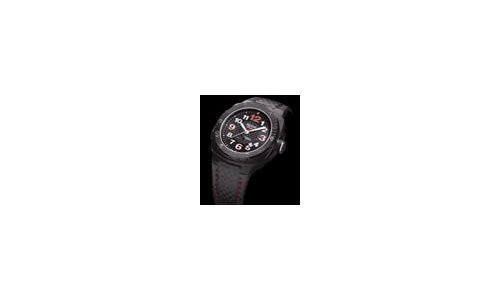 Alpina Geneve: Official Timekeeper of the 12 Hours of Sebring 2009 