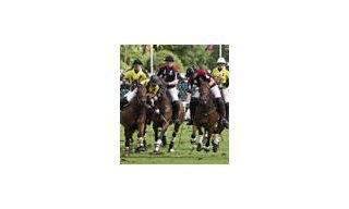 The DeWitt Polo Cup