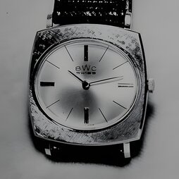 BUTTES WATCH