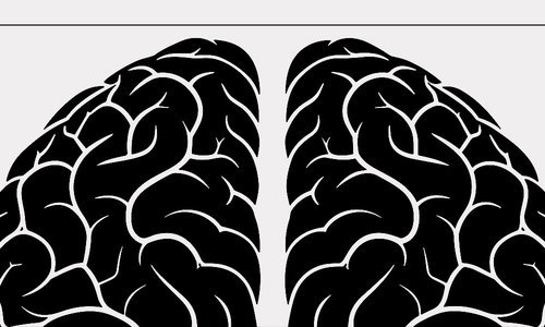 The basics of AI: ten terms that matter today