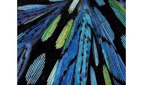 ARTS & CRAFTS - GALLERIES