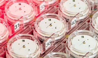 The COSC establishes a new standard in Swiss chronometry