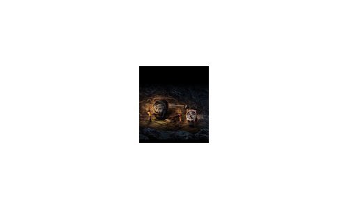 Roger Dubuis' Exciting New Website