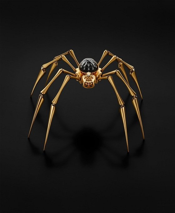 Arachnophobia! Telling the time on eight legs 