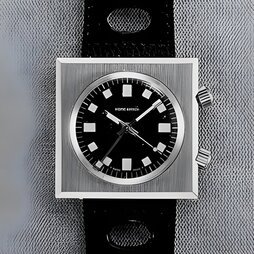 HOME WATCH