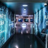 An exhibition dedicated to the film Planet Ocean is running at the Cité du Temps in Geneva until 9 June 2013