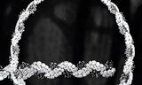 PIAGET