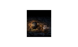 Roger Dubuis' Exciting New Website