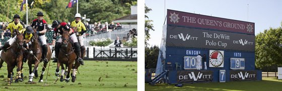 The DeWitt Polo Cup