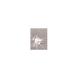 TIME TO CHANGE by Moog