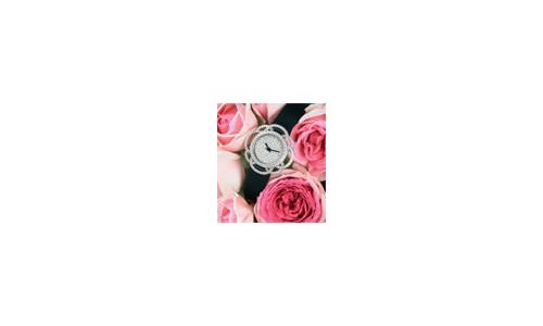 Damoiselle D launches at the GTE