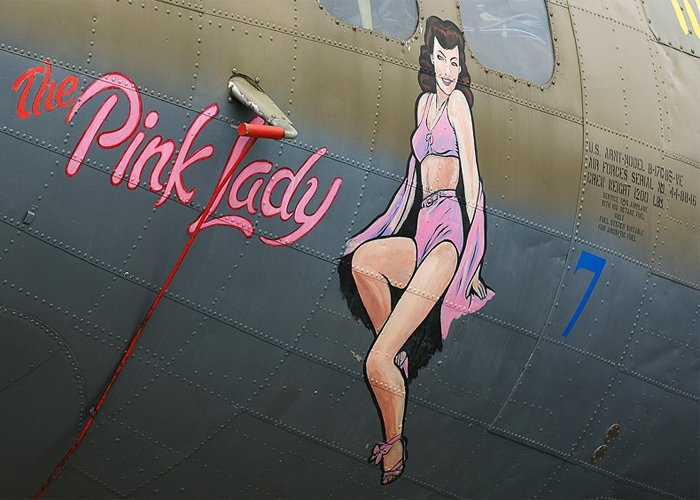 “The Pink Lady” aircraft
