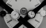 MONDAINE WATCH Ltd., Zurich