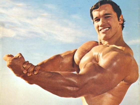 Schwarzenegger, when the wrist becomes a muscle