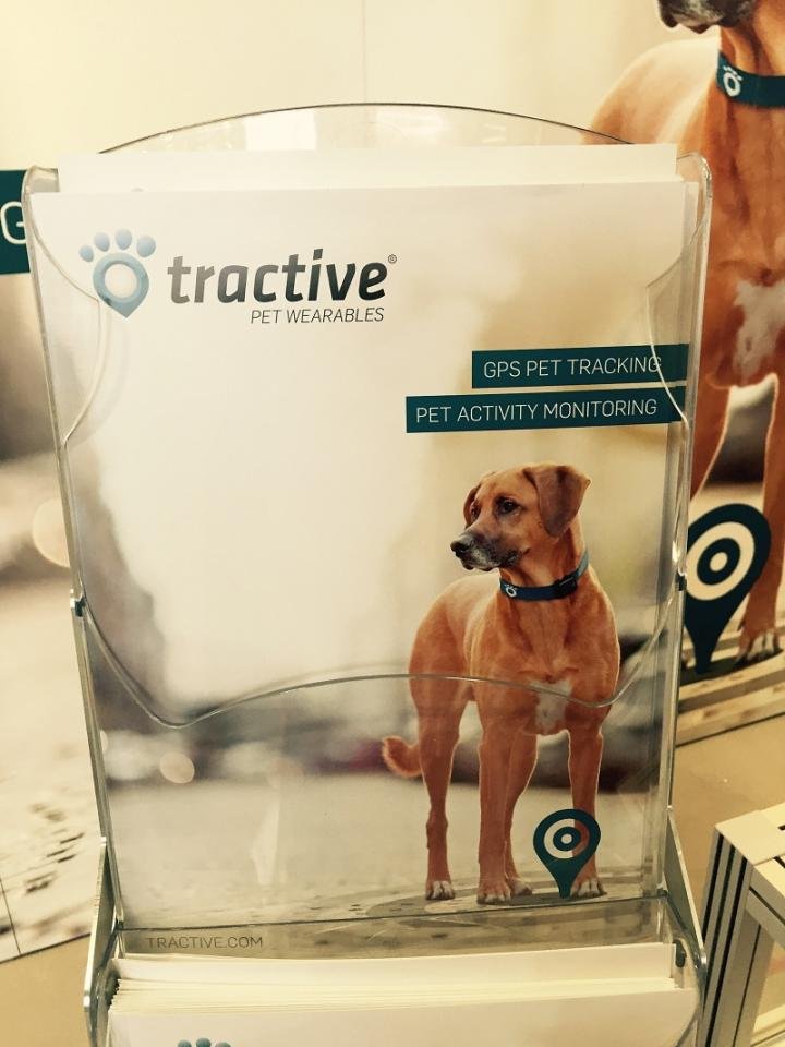 Just in case your dog isn't smart enough, Tractive has you covered