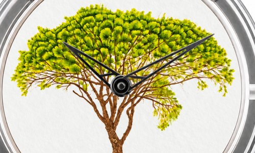 XRby Le Pin Parasol