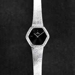 INTERNATIONAL WATCH CO., IWC