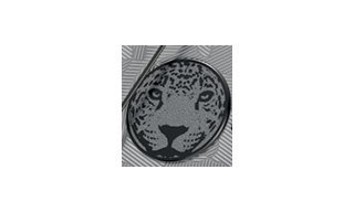  JeanRichard presents two wild limited editions for Mexico