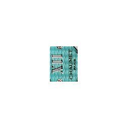 CLASS ONE TURQUOISE BLUE by Chaumet
