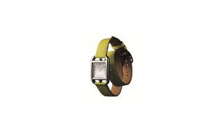 The Cape Cod Watch by Hermès
