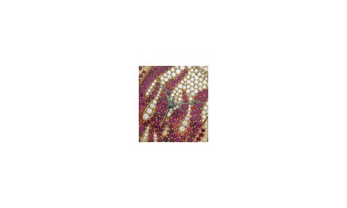 Charles Oudin Jewellery Watches