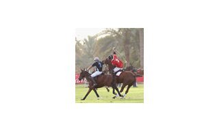 Cartier sparkled in their own Polo Challenge
