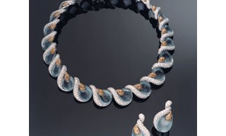Ambrosi's elegance 